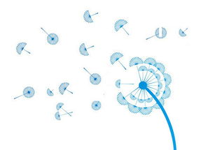 攜手長春網(wǎng)站建設(shè)，打造企業(yè)專屬的數(shù)字化門戶